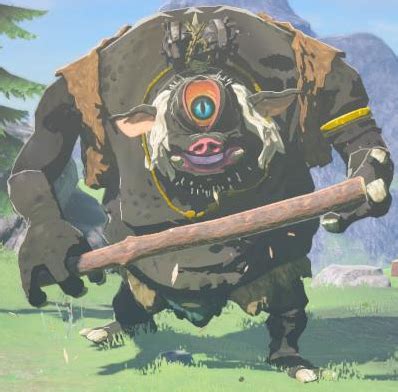 black hinox totk